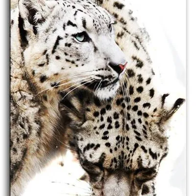 Wild nature - dzika miłość - 60x90 cm - g92784