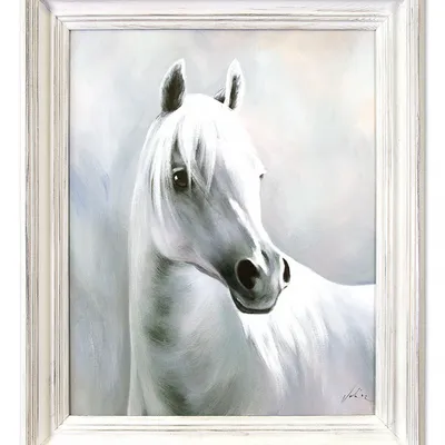Obraz - konie - 50x60cm - g06350