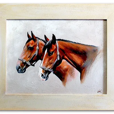 Obraz - konie - 41x51cm - g03579