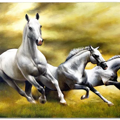 Obraz - konie - 60x90cm - g119340