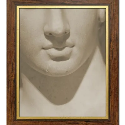 Obraz - antyk - 51x61cm - g114707
