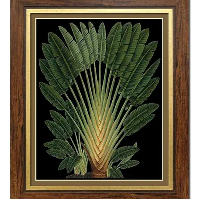 Obraz - tropikalne liście i kwiaty - 51x61cm - g101583