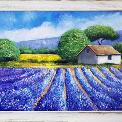 Pola lawendowe - lawendowa sielanka - 63x84 cm - g16293