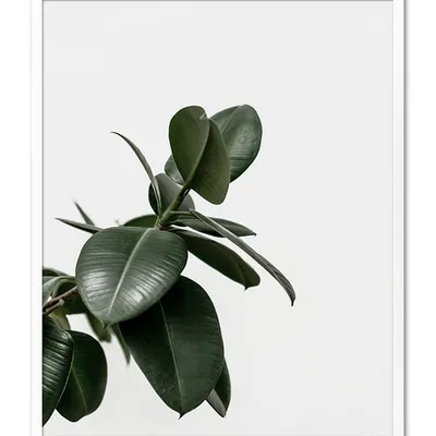 Obraz - inne - 43x53cm - g104416