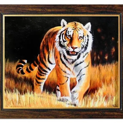 Zwierzęta - tygrys - 53x64 cm - g02950