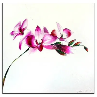 Feng shui - fioletowy kwiat - 60x60 cm - g01639