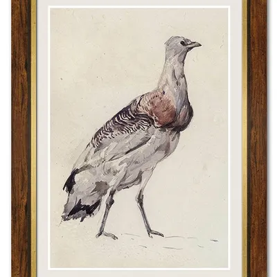 Obraz - ptaki - 61x81cm - g114717