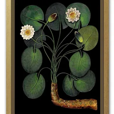 Obraz - tropikalne liście i kwiaty - 33x43cm - g102597