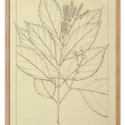 Obraz - inne - 53x73cm - g114933