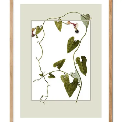 Obraz - inne - 33x43cm - g104237