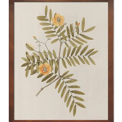 Obraz - inne - 43x53cm - g115586