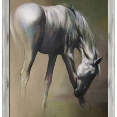 Zwierzęta - biały koń - 200x140 cm - g94768