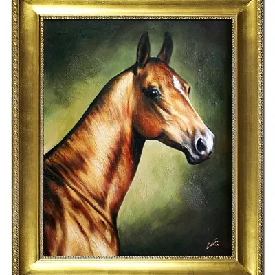 Obraz - konie - 55x65cm - g98941