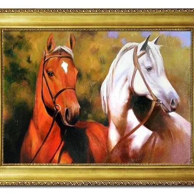 Zwierzęta - popołudnie na polanie - 63x84 cm - g05476