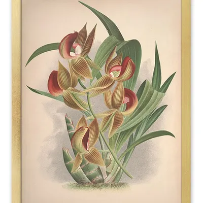 Obraz - inne - 33x43cm - g114907