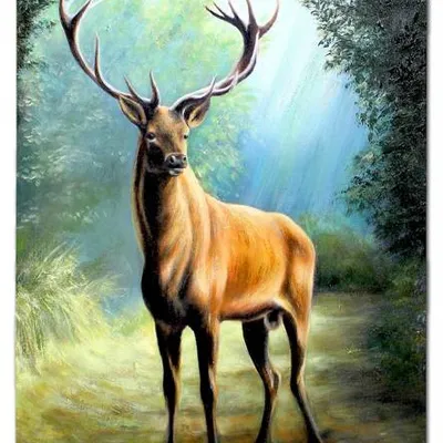 Obraz olejny - pejzaże - 60x90 cm - g118967