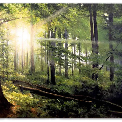 Obraz olejny - pejzaż leśny - 60x90 cm - g118801