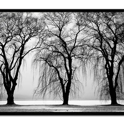 Obraz - inne - 63x93cm - g99029