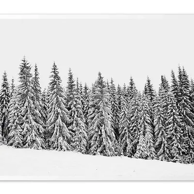 Obraz drukowany - pejzaże - 63x93 cm - g107795