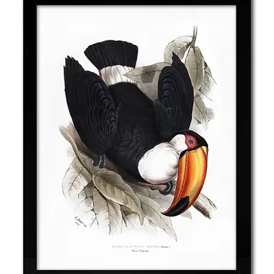 Obraz - ptaki - 33x43cm - g109494