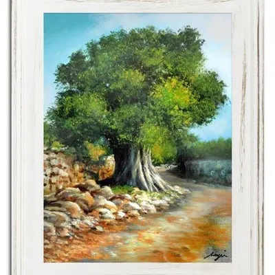 Drzewa oliwne - przy drodze - 40x50 cm - g16718