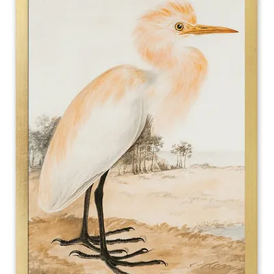Obraz - ptaki - 33x43cm - g113466
