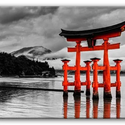 Orient - ciemne chmury - 60x90 cm - g92924