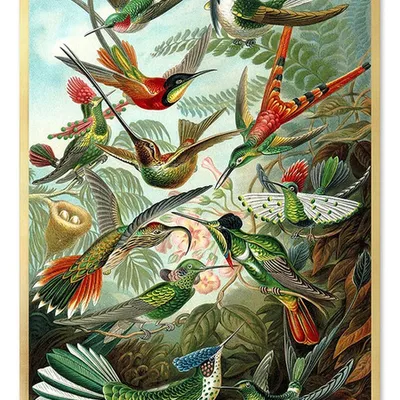 Obraz - ptaki - 53x73cm - g103402
