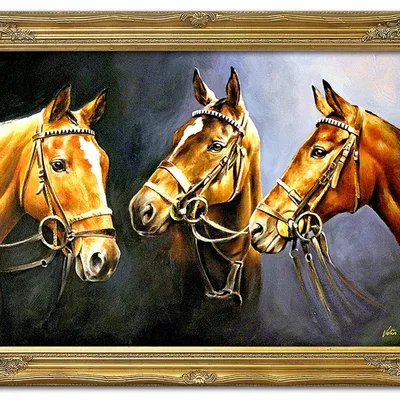 Obraz - konie - 74x104cm - g113943