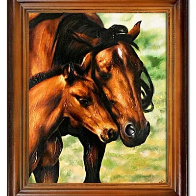 Obraz - konie - 50x60cm - g03851