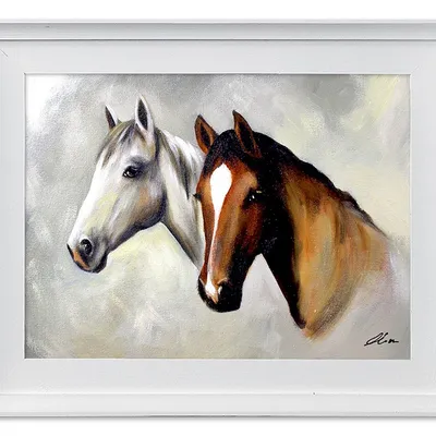 Obraz - konie - 39x49cm - g02572