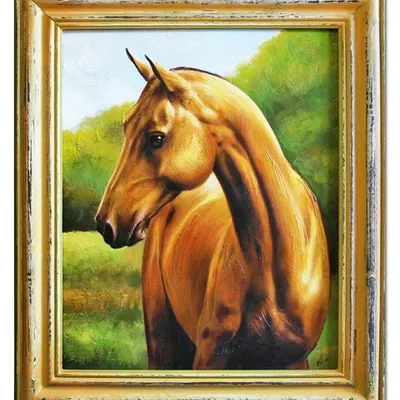 Obraz - konie - 52x62cm - g04033