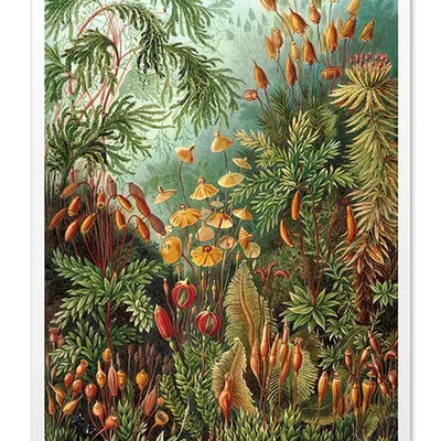 Obraz - tropikalne liście i kwiaty - 63x93cm - g103513