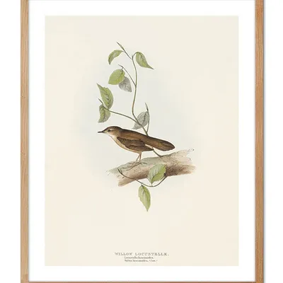 Obraz - ptaki - 43x53cm - g104220