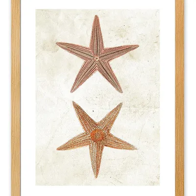 Obraz - inne - 33x43cm - g113004