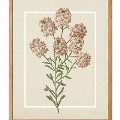 Obraz - inne - 43x53cm - g115746