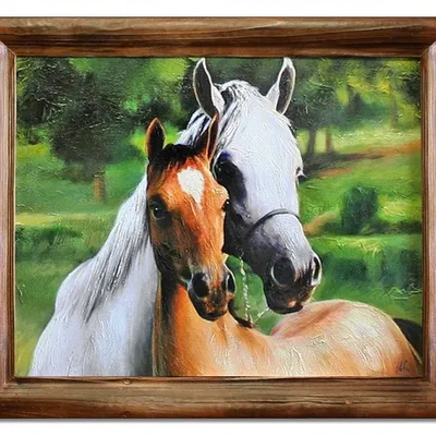 Obraz - konie - 51x61cm - g02952