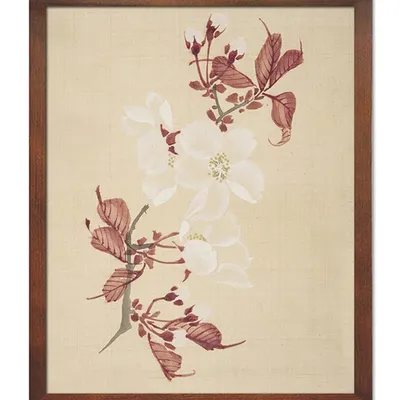 Obraz - inne - 43x53cm - g115588