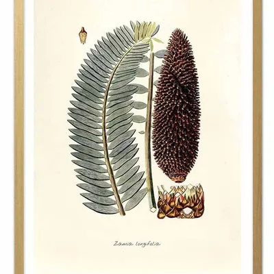 Obraz - tropikalne liście i kwiaty - 33x43cm - g102585
