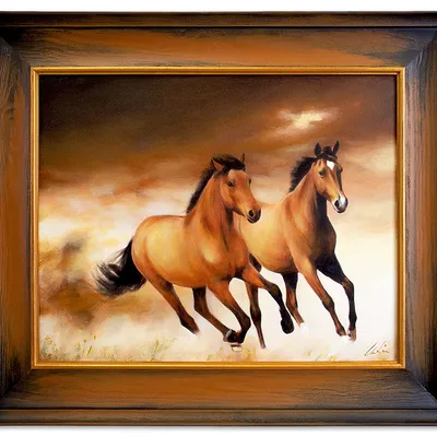 Obraz - konie - 55x65cm - g15478