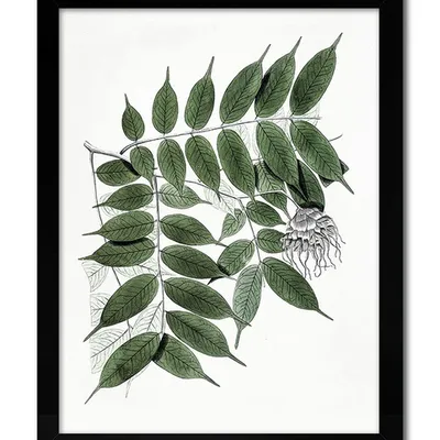 Obraz - tropikalne liście i kwiaty - 33x43cm - g109474