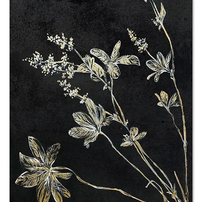 Obraz - motywy roślinne - 60x90cm - g99724
