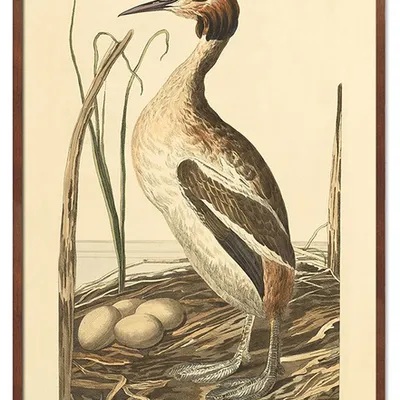 Obraz - ptaki - 53x73cm - g115604