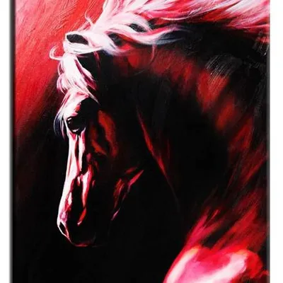 Zwierzęta - szał - 50x70 cm - g16079