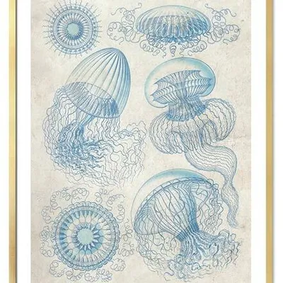 Obraz drukowany - zwierzęta - 53x73 cm - g113077