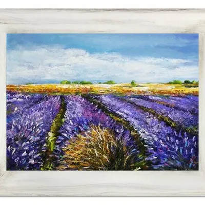 Pola lawendowe - zapach lata - 72x92 cm - g14973