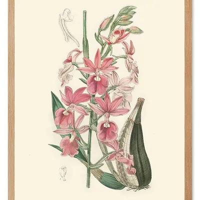 Obraz - inne - 53x73cm - g104249