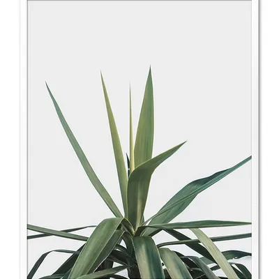 Obraz - inne - 43x53cm - g104417