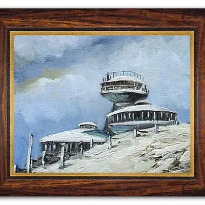Śnieżka - burza śnieżna - 40x50 cm - g02665