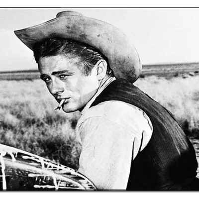 James dean - pracowite popołudnie - 40x50 cm - g17903